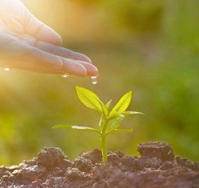 Climate-Resilient Maternal and Newborn Health Initiative