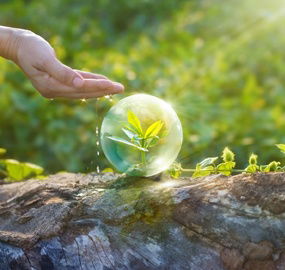 Clean Energy for Safe Births Program