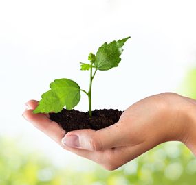 Community-Based Climate Early Warning for Pregnant Women