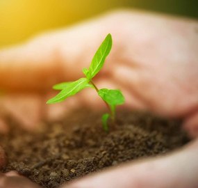 Climate-Resilient WASH in Primary Health Facilities