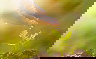 Solar-Powered Maternity Wards